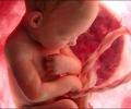 hoquet-du-foetus-600x400.jpg