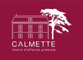 CENTRE D'AFFAIRES CALMETTE - DPS FRANCE