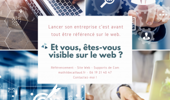 https://www.mathildecaillaud.fr/, référencement local, communication web